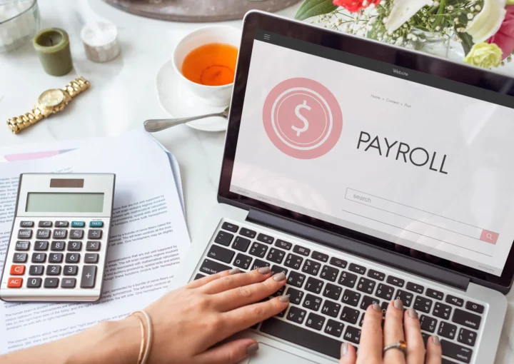 Payroll Software Blog Image